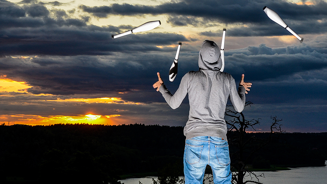 Bachelor Programme in Circus